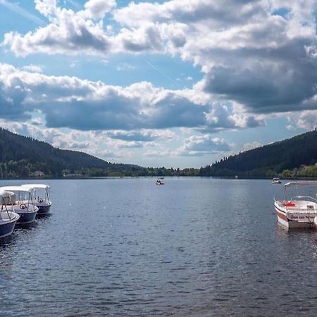 Studio Cosy Ambiance Vosgienne A 20 Mn De Gerardmer Lepanges-sur-Vologne Ngoại thất bức ảnh