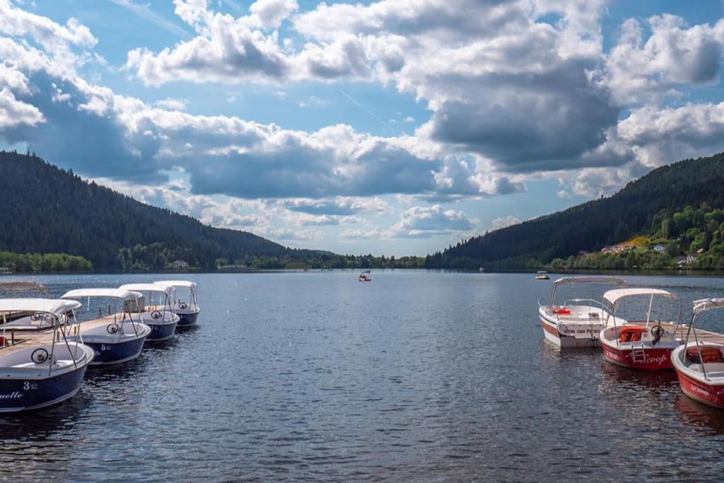 Studio Cosy Ambiance Vosgienne A 20 Mn De Gerardmer Lepanges-sur-Vologne Ngoại thất bức ảnh